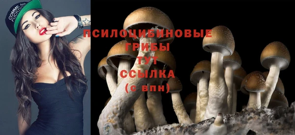 прущие крисы Арсеньев