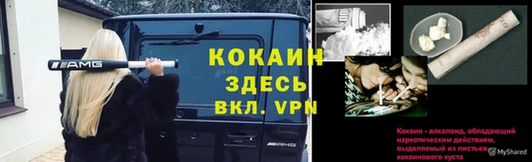 МДПВ Аркадак